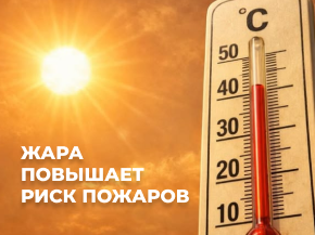 Пожары в жаркую погоду: как предотвратить трагедию и сохранить жизнь 